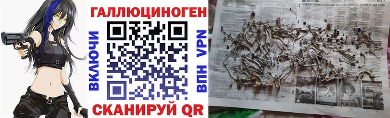 где продают   блэк спрут ссылки  Псилоцибиновые грибы прущие грибы  Нижний Новгород 