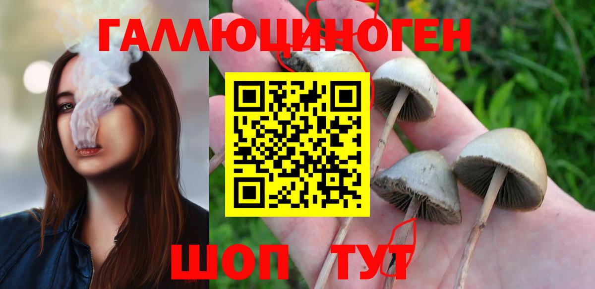 Нижний Новгород  Галлюциногенные грибы мухоморы  Вход с VPN  Псилоцибиновые грибы Psilocybine cubensis 
